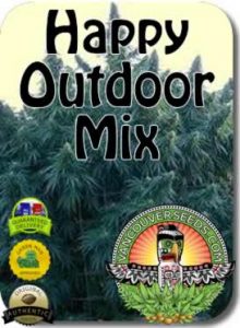 vancouver-happy-outdoor-mix